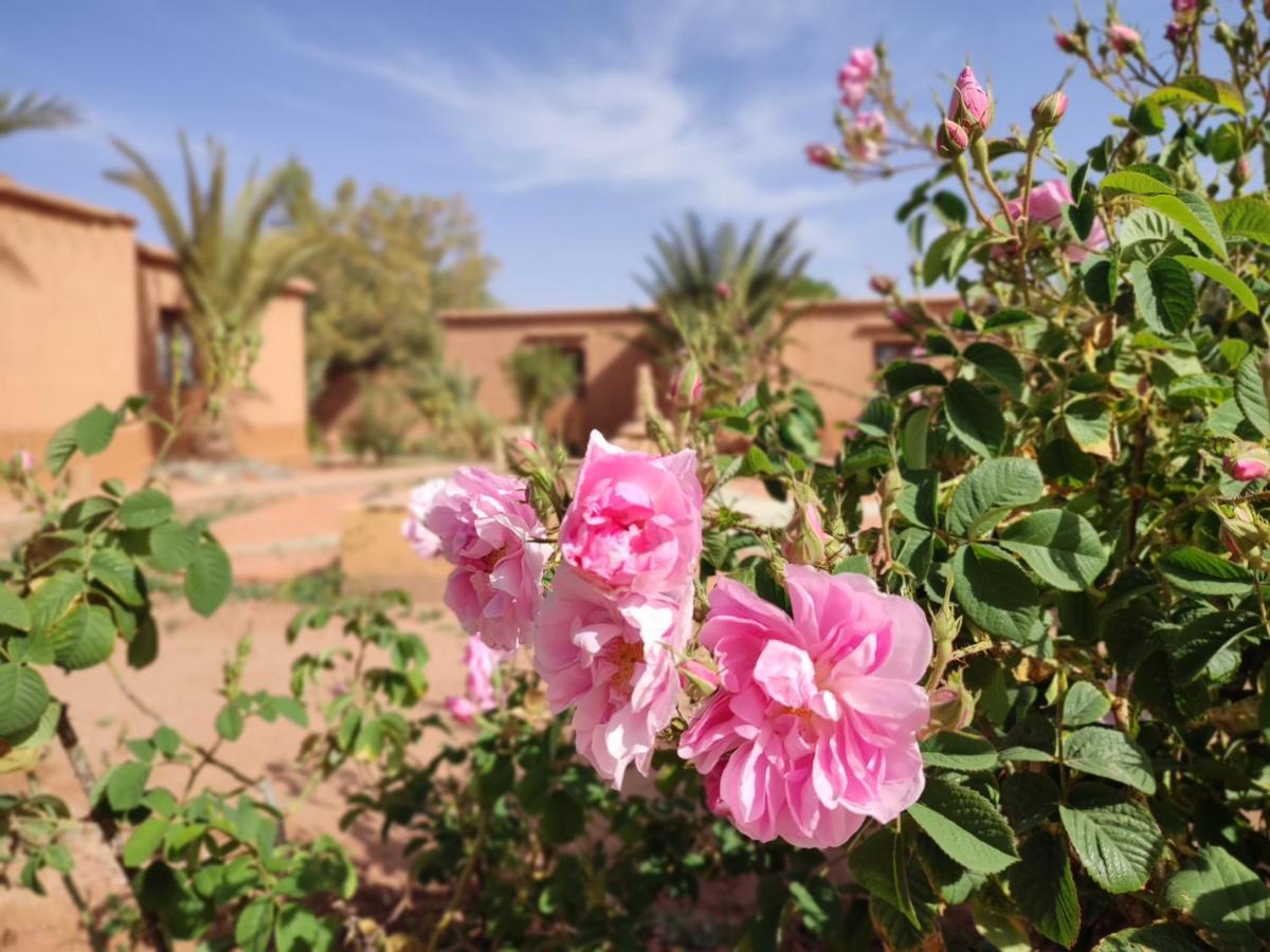 Maison D'Hotes Tigminou - Adults Only Aït Benhaddou Eksteriør bilde