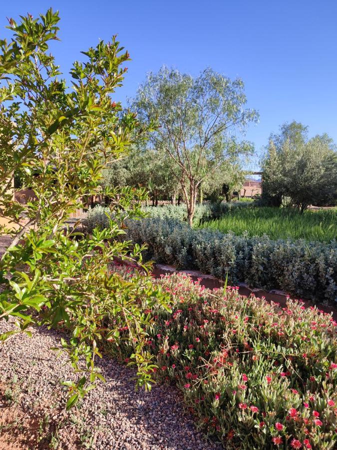 Maison D'Hotes Tigminou - Adults Only Aït Benhaddou Eksteriør bilde